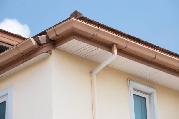 Gutter Installation Jacksonville FL: Revolutionizing Home Protection